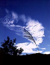 秋２・秋雲